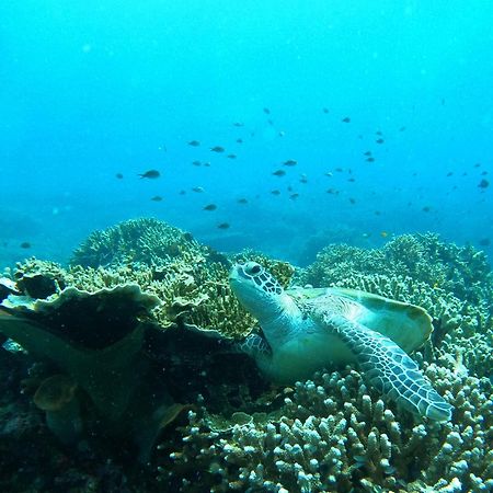 4 Sisters Divers Bunaken Exterior foto