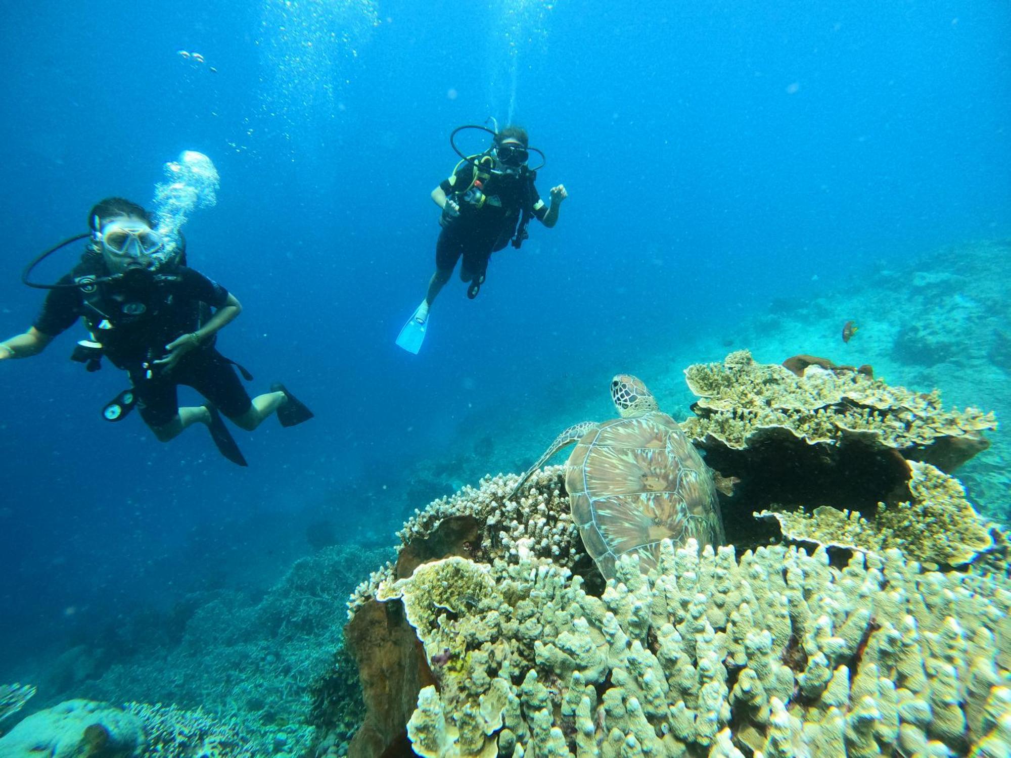 4 Sisters Divers Bunaken Exterior foto