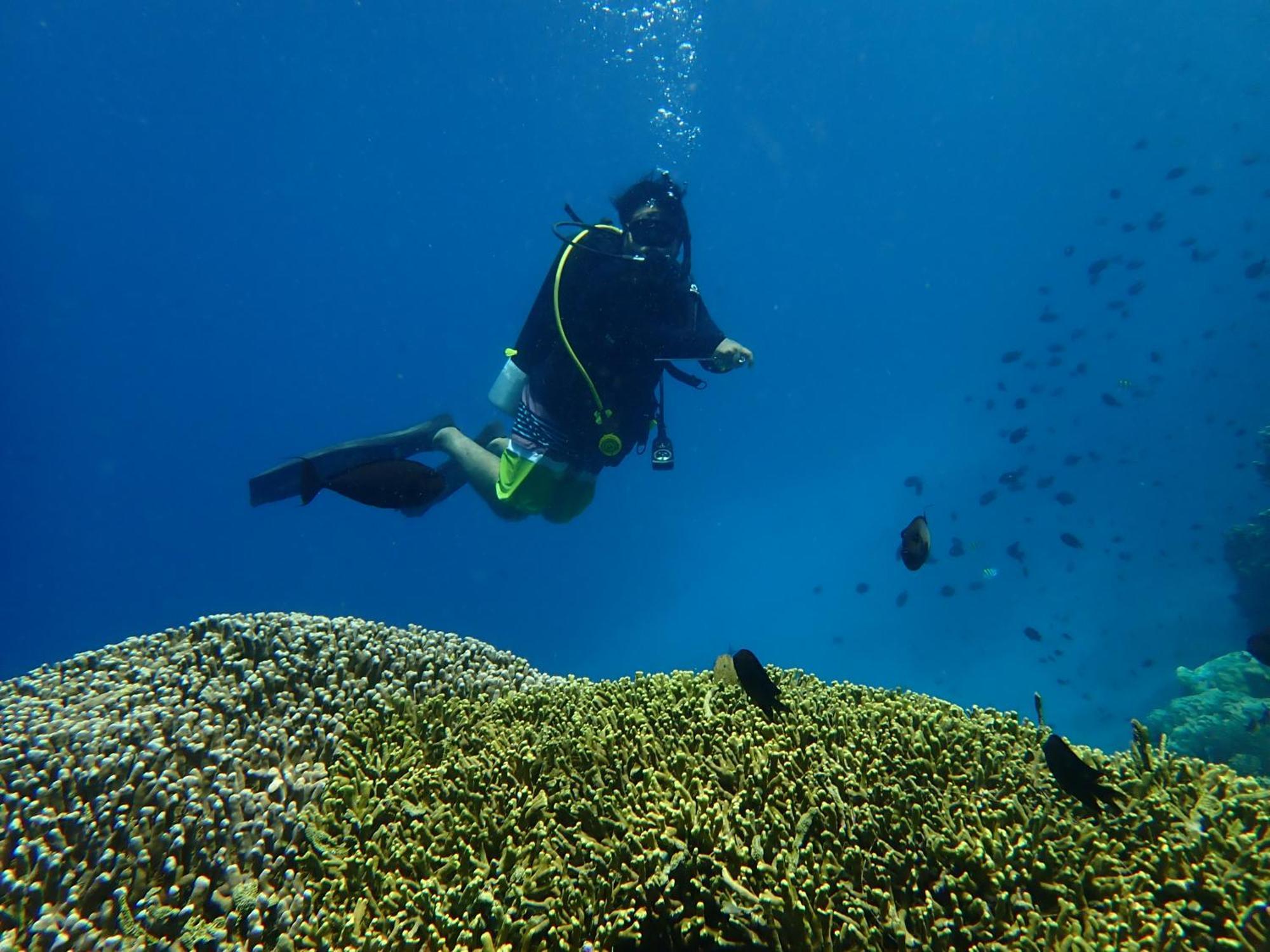 4 Sisters Divers Bunaken Exterior foto